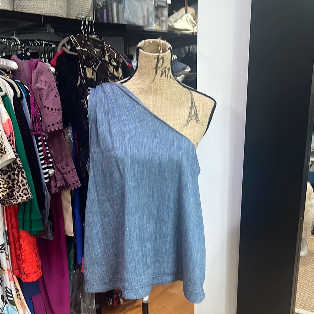 LOFT Asymmetrical Blue Relaxed Blouse and shorts